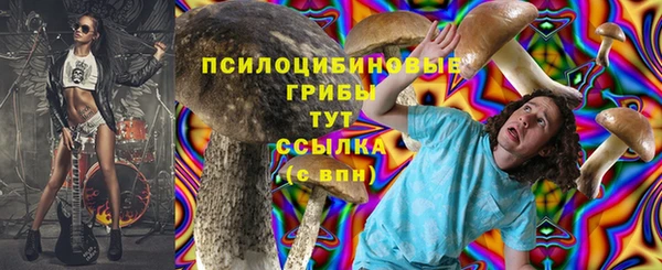 гидропоника Козельск