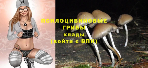 круглые Козловка