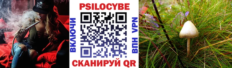 Галлюциногенные грибы ЛСД  Купить где  Коркино 