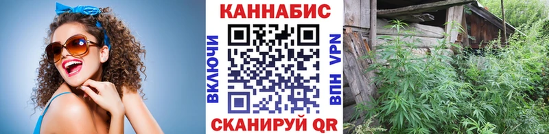 Купить где  Коркино  Конопля сатива 
