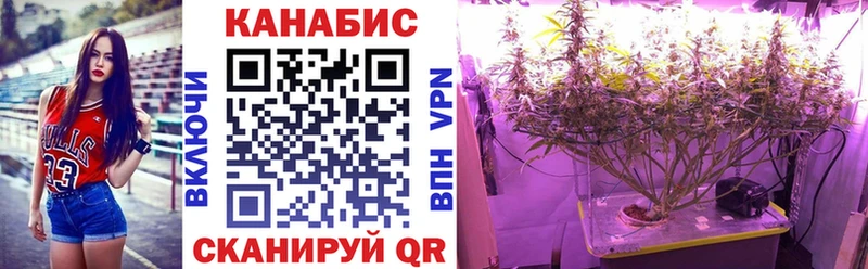 Бошки марихуана OG Kush Коркино